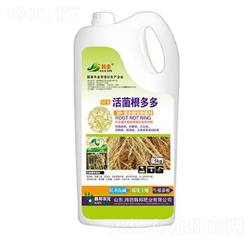 �ͺ�΢�������-�����