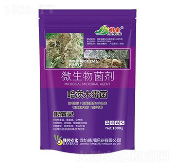 ����ľù��-�����`-�n