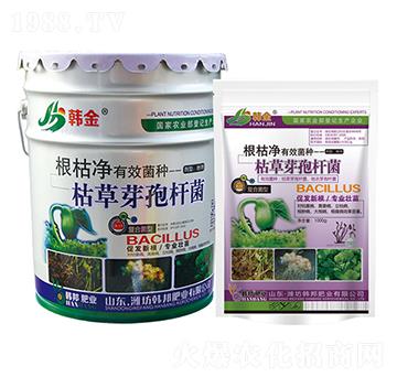 �ݲ�ѿ�ߗU��-���݃�-