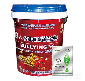 ���}����Ͷ�S�����S��