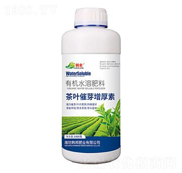 ���~��ѿ�������ЙCˮ��