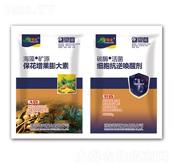 �������������-������