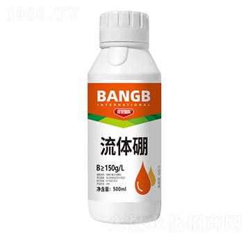 ���w��-����H