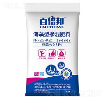 51%�����͓������1