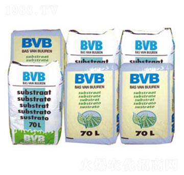 ���N��(zhu��n)�û��|(zh��)-BVB-�������r(n��ng)�Q(m��o)