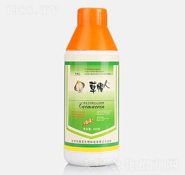 600g�ЙC(j��)�B(t��i)�������L(zh��ng)������-��ñ��-�￵��