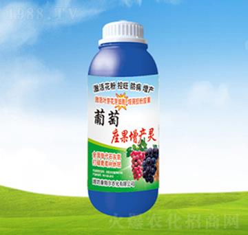 �����������a(ch��n)�`-���ؠ��r(n��ng)��