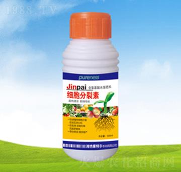 ����������-���ؠ��r(n��ng)��