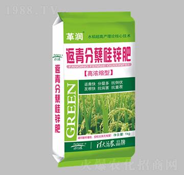 �ߝ�s�ͷ�����Y���\��