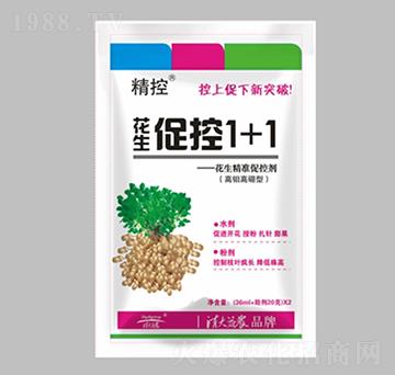 �����ٿ�1+1-����-������r