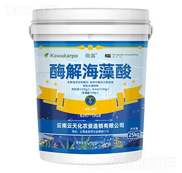 ΢¶-ø�⺣����-���컯�r�Y