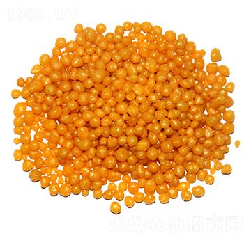 ��֬���¶��@���w����18-46-0-ïʩ����