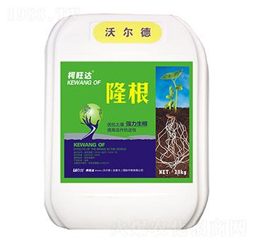 ¡��-�����_(d��)-�֠����r(n��ng)