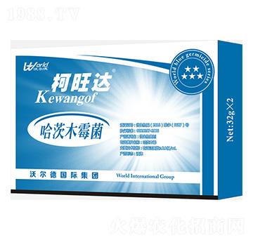 ����ľù��-�����_(d��)-��