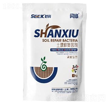 �W��(�����ޏ;���)-