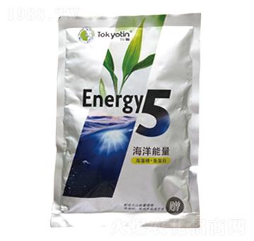 ���徫+�~����-��������5-�����r(n��ng)�I(y��)