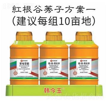 �t����ݬ�ӷ���-�n����-�n�ѻ��W(xu��)