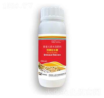 頂滿(mǎn)拉長(zhǎng)素-勞恩邦柏