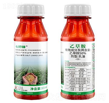 50%�Ҳݰ�-�߰��-������