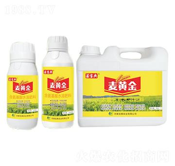 ���S��-�|����-���䌍(sh��)�I(y��)