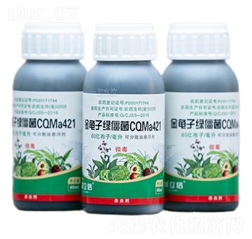 �����ӾG����CQMa421�͑Ҹ���-����������