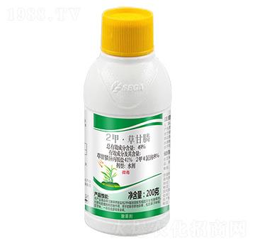 49%2�ס��ݸ��-�����^ɽ�L-����