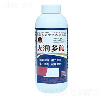 �읙��T�_ʩ��-�V�|�읙