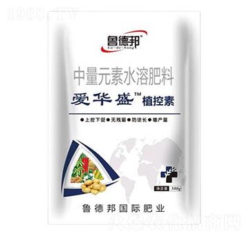 ����Ԫ��ˮ�ܷ���-��(��i)�Aʢ��ֲ����-��?sh��)°? />
                                </div>
                            </div>
                            
                            <style type=