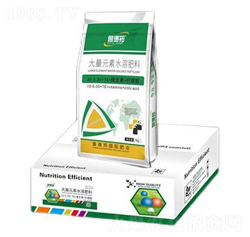 大量元素水溶肥料10-5-35+TE+維生素+檸檬酸-魯?shù)掳? />
                                </div>
                            </div>
                            
                            <style type=