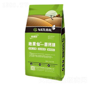 ���}�V-������-��?sh��)°? />
                                </div>
                            </div>
                            
                            <style type=