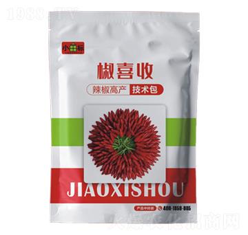 辣椒增產(chǎn)技術(shù)包-椒喜收-公牛國(guó)際