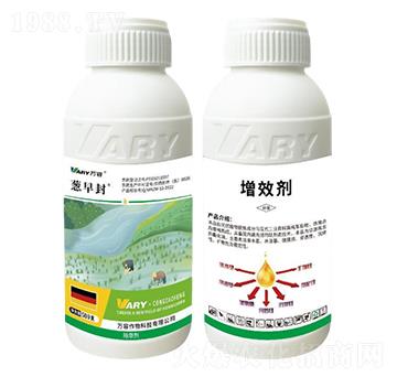 75%���ݰ���������������¡-�[���-�f(w��n)��