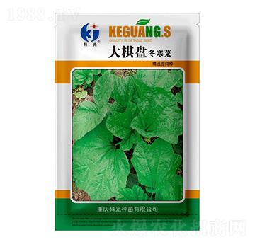 ����P������-�ƹ�N��