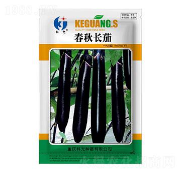 �����L��-�ƹ�N��