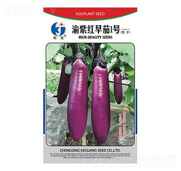 ���ϼt����1̖(h��o)-�ƹ�N��