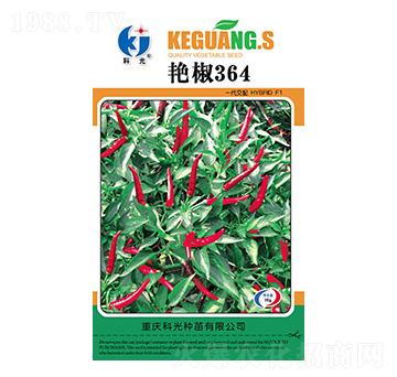 �G��364-�ƹ�N��