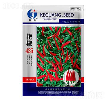 �G��435-�ƹ�N��