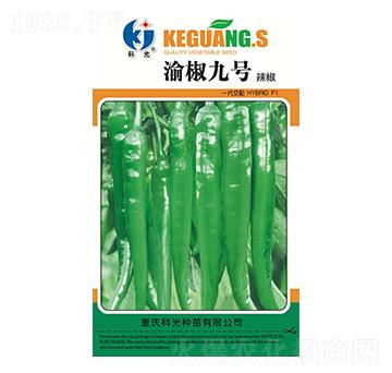 �彷9̖(h��o)-�ƹ�N��