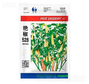 �G��528-�ƹ�N��