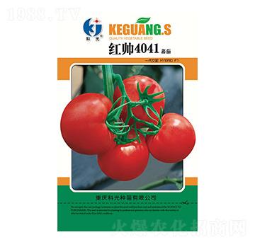 �t��4041-�ƹ�N��