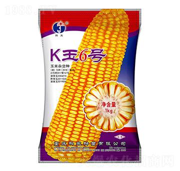 K��6̖(h��o)-�ƹ�N��