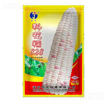 �ƻ�Ŵ828-�ƹ�N��