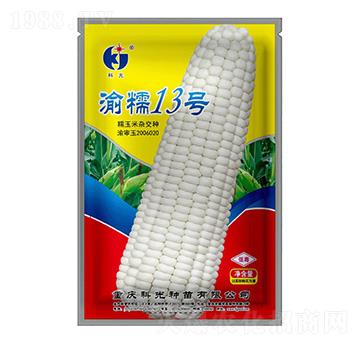 ��Ŵ13̖(h��o)-�ƹ�N��