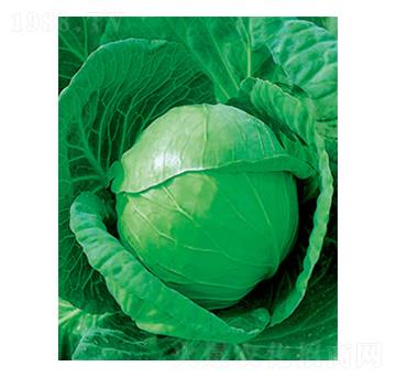 �и�ʮһ���{(l��n)�N��-̫���N�I(y��)