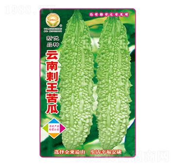 ��ϷN��-���ϴ������-̫���N�I(y��)