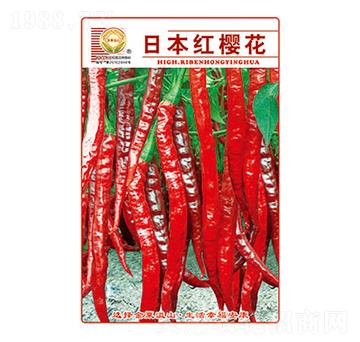 �����N��-�ձ��t�ѻ�-̫���N�I(y��)