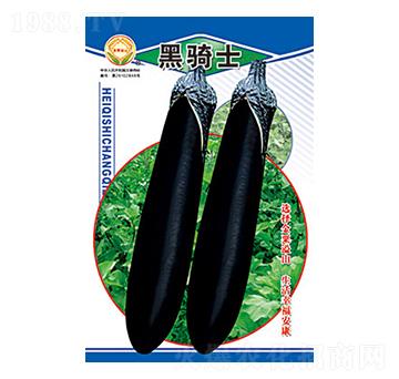 ���ӷN��-���Tʿ-̫���N�I(y��)