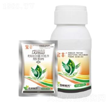 430��/�����򴼑Ҹ���-���S-�����