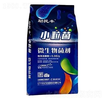 ΢�������-С����-�����S-�Ѓ|�r�I(y��)