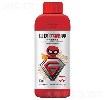 �t�b����ζ�-�ܿ������-�����ʘI(y��)